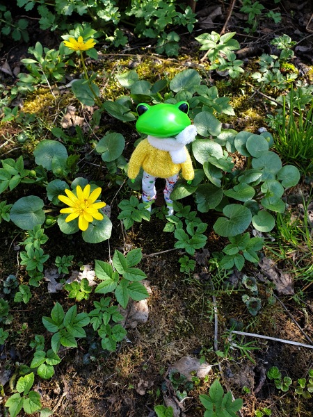 Лягушка Ванда и все-все-все