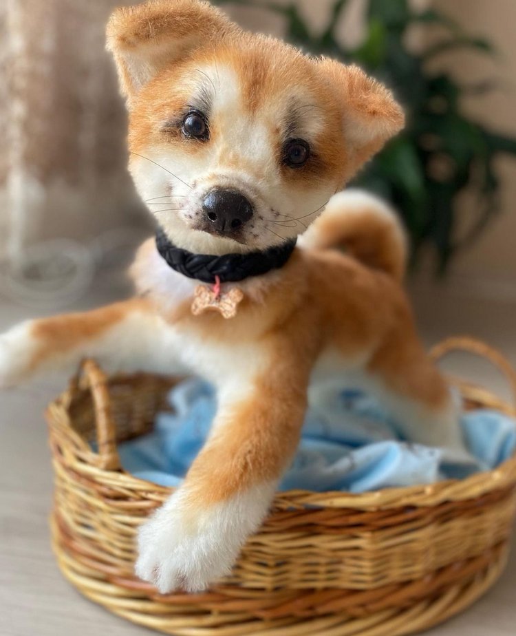 Акито щенок — Игрушки в смешанной технике (мех и глина): Арт