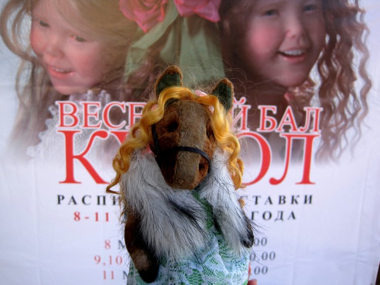 Лошадка Света. Знакомство