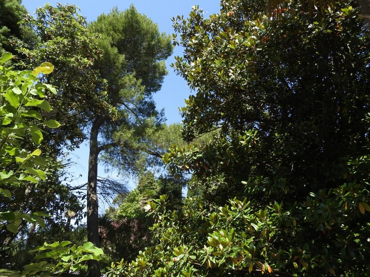 Краснодарский Край, Сочи-Адлер, Санаторий «Южное Взморье»