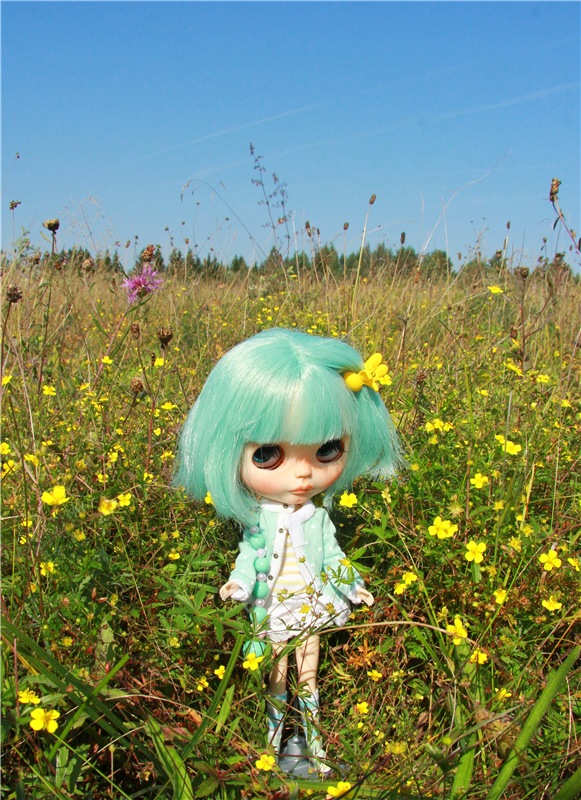 Инопланетянка Нийя. Custom Blythe Doll UFO Go Go Takara
