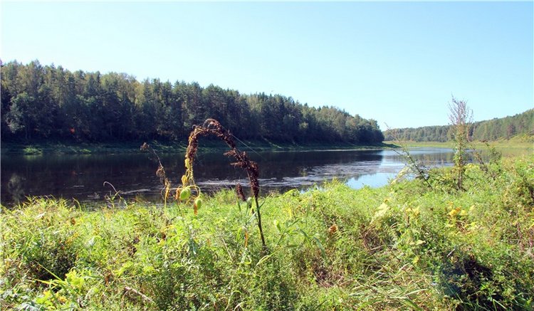Старицкая Швейцария. Старицкие пещеры, д. Толпино, заключительная часть