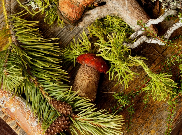 Осенний натюрморт — Другие хобби и увлечения: сад