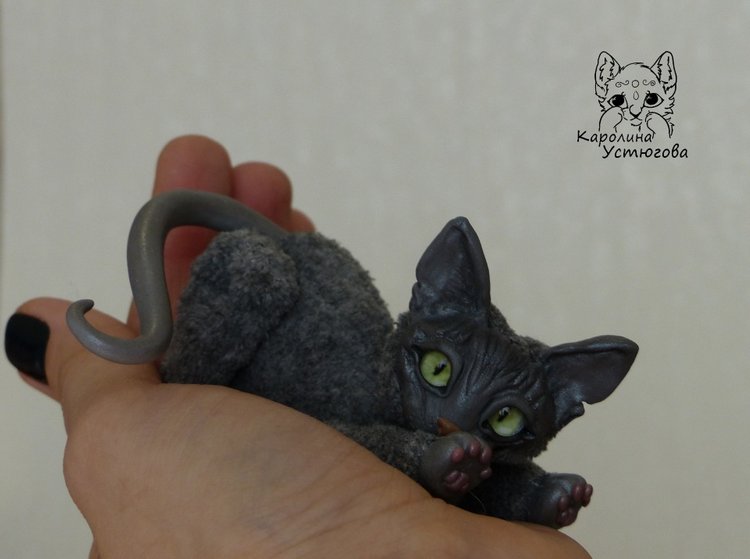 Миниатюрные серые Сфинксы (фото 8)