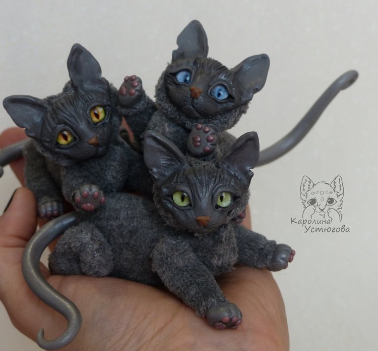 Миниатюрные серые Сфинксы (фото 3)