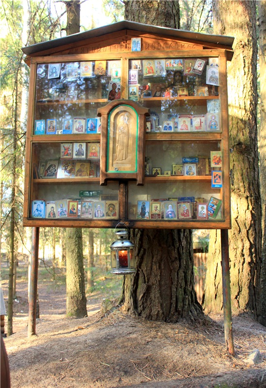 Джиджи на Орше. BJD Gigi от Meadow Dolls