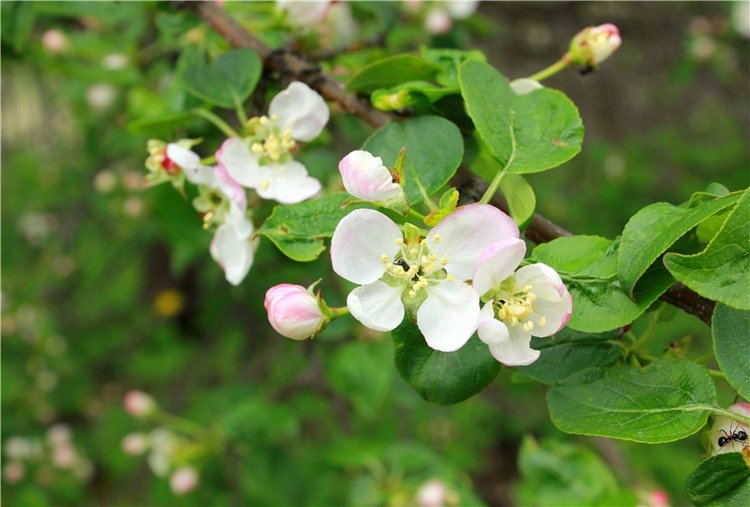 Женя-путешественница — Советские винтажные куклы (СССР): Ленигрушка