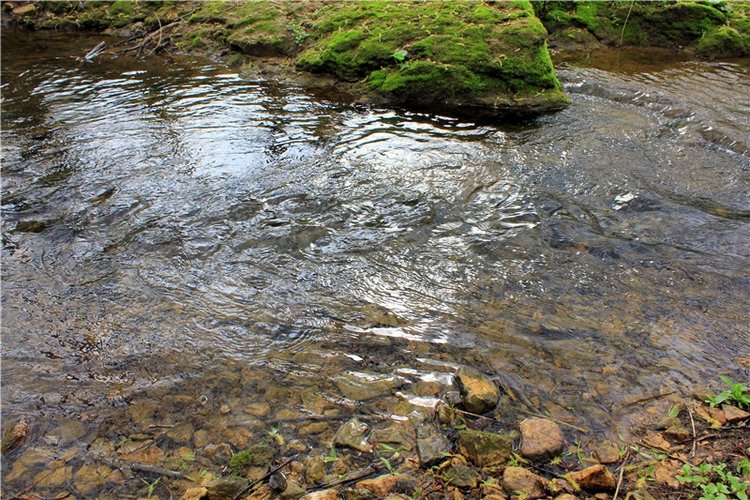 Заблудилась. Georgia от Berdine Creedy (фото 2)