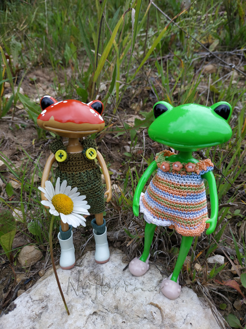 Wonderfrog. Красота в простоте