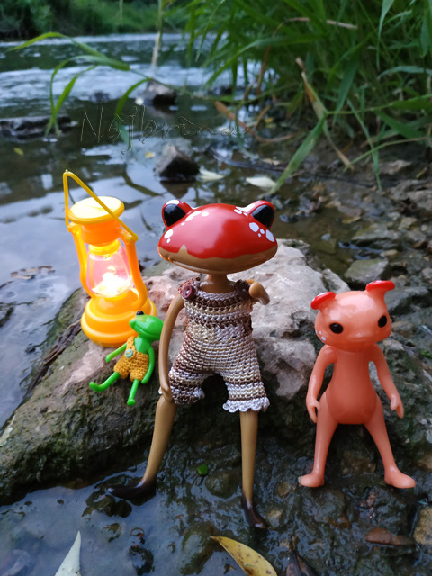 Wonderfrog. Красота в простоте