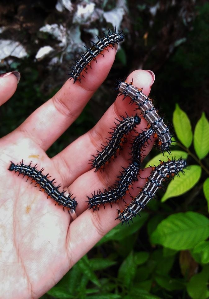 Любителям природы - профессиональные фотографии (выпуск 4)