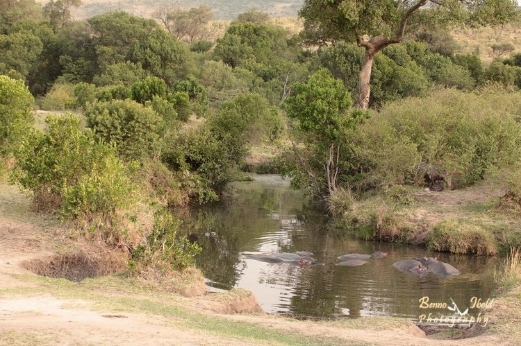 Любителям природы - профессиональные фотографии (выпуск 4)