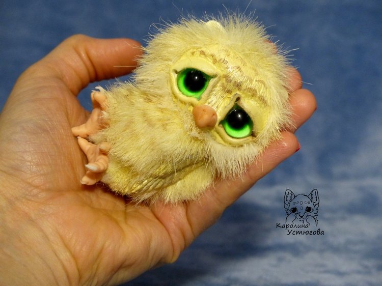 Совята в ожидании Новогодних праздников