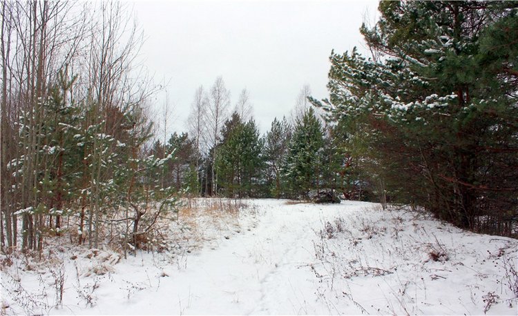 Бейли и Дий. Mini Bailey SK от Meadow dolls