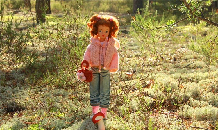 Осенняя прогулка Tammy в лесу (фото 5)