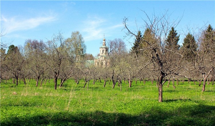 Путешествие Софи в Старицу, продолжение. Lati HoneyBee New Mystic Sophie