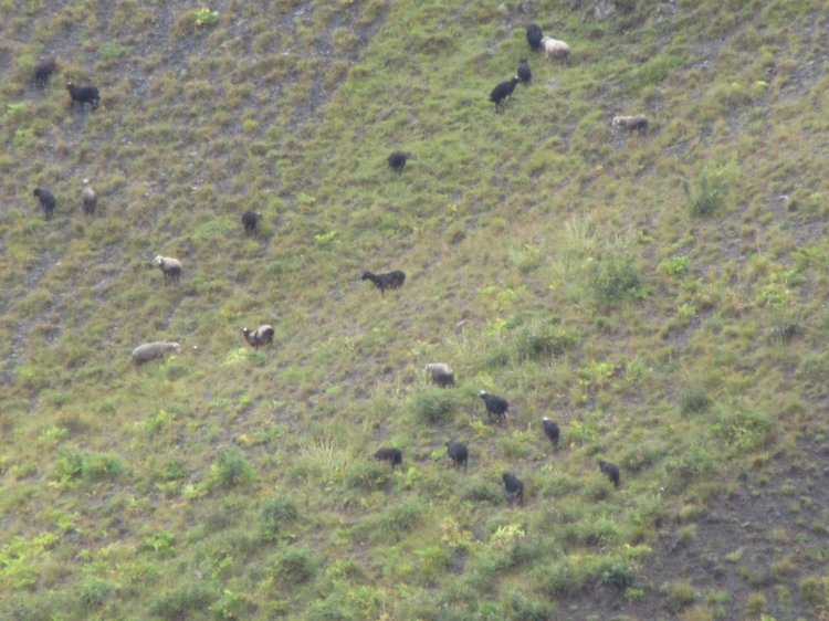 Джилы-Су в тумане — Туризм и путешествия: фотоотчеты из поездок