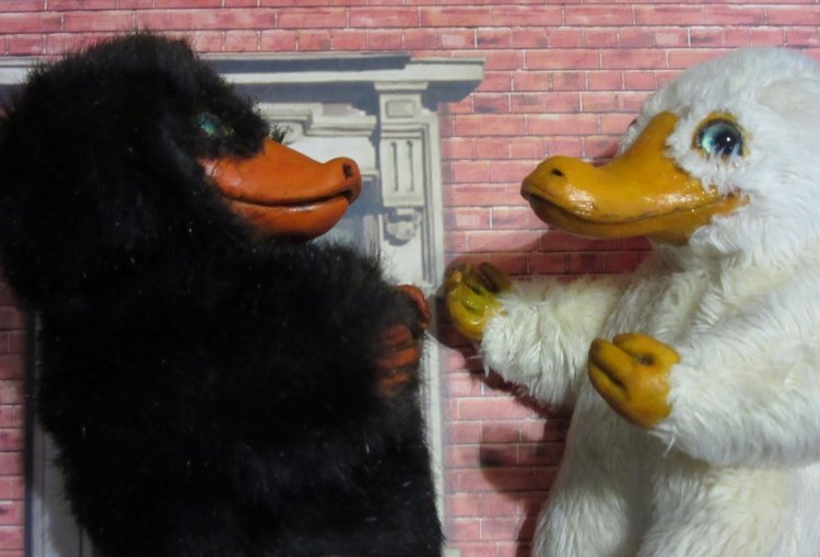 Великолепный Тыр и его новый друг (фото 8)