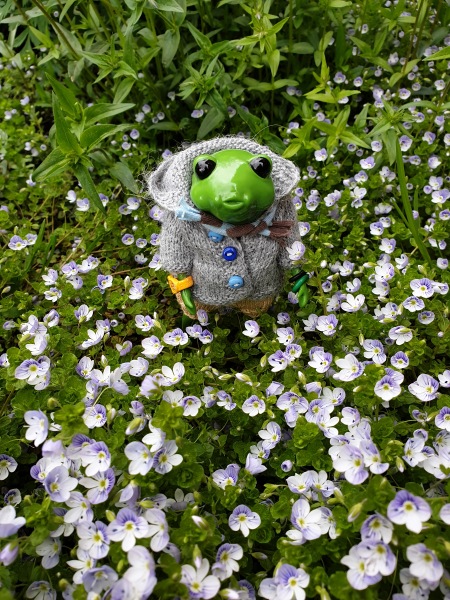 Лягушка Ванда и все-все-все