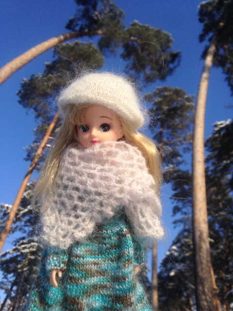 Снежная фотосессия с Licca, Takara