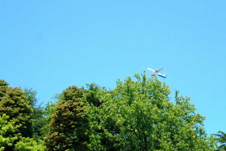 Краснодарский Край, Сочи-Адлер, Санаторий «Южное Взморье»