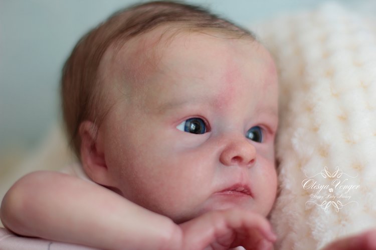 Тинк, мой любимый птенчик. Кукла реборн Венгер Олеси (фото 5)