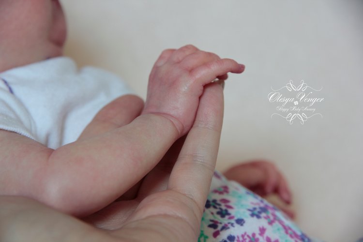 Тинк, мой любимый птенчик. Кукла реборн Венгер Олеси