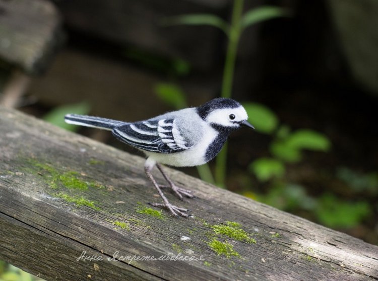 Белая трясогузка — Валяные игрушки из шерсти: сухое валяние