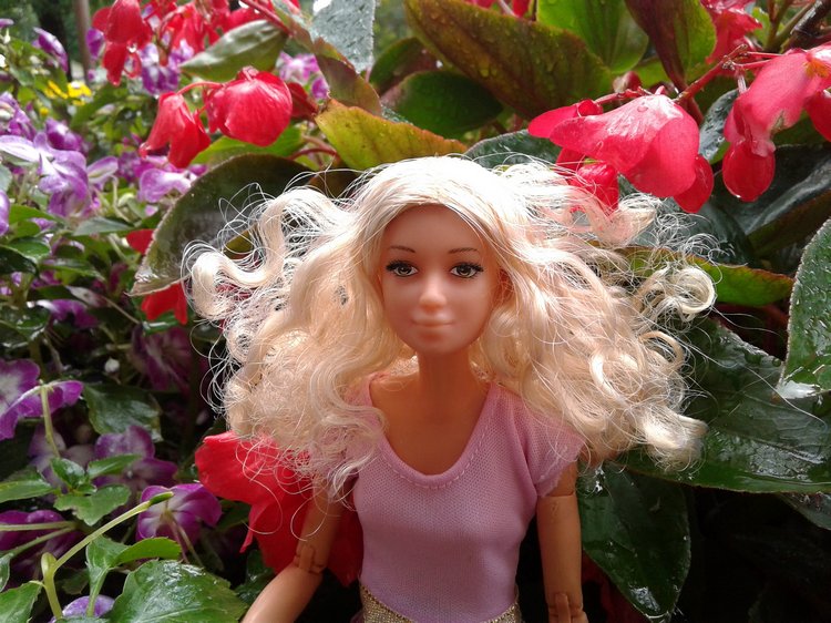 Последний месяц лета. Мой Псков. Аурика (фото 10)