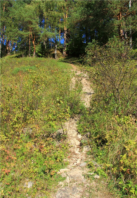 Старицкая Швейцария. Старицкие пещеры, д. Толпино, заключительная часть