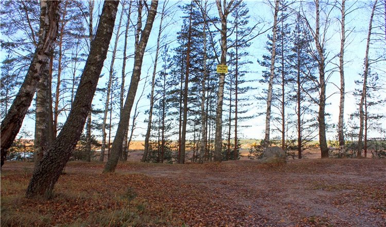 Ромашковый октябрь. Zwergnase Mischa