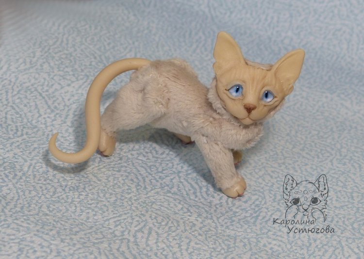 Два миниатюрных котика Сфинкса (фото 2)