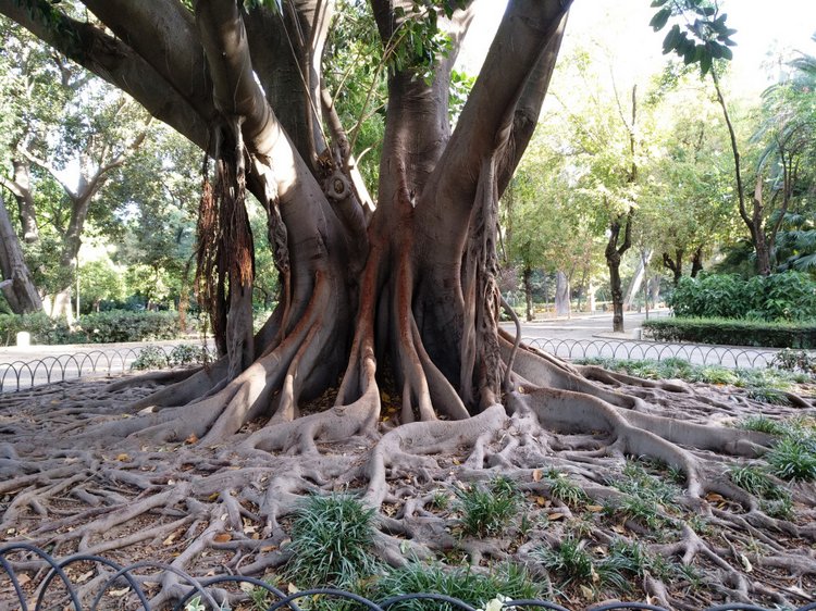 Тайна моего имени. Часть 8. Продолжение. Испания, Севилья. Удивительные вещи