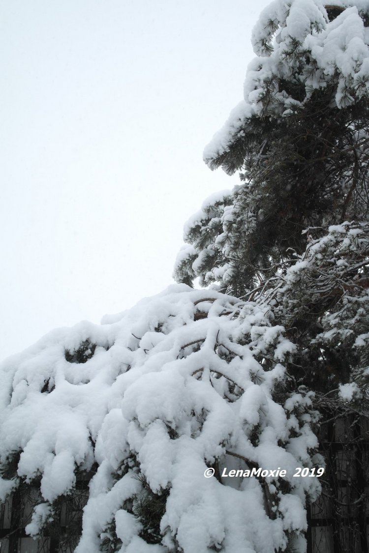 Время длинных шарфов — Игровые куклы Zwergnase (Цвергназе) Junior: Джуниор