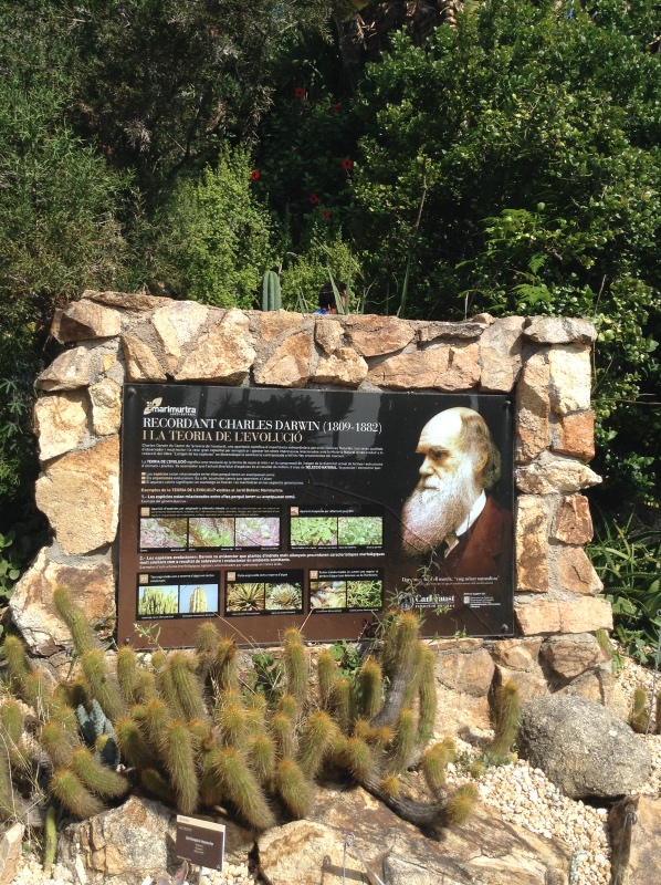 Путешествие Минуш в Испанию. Каталония. Ч.3. Райские сады