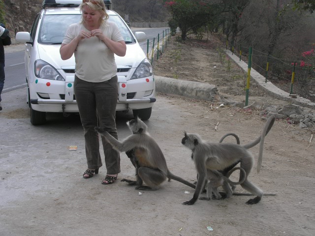 Сказочная Индия — Туризм и путешествия: фотоотчеты из поездок