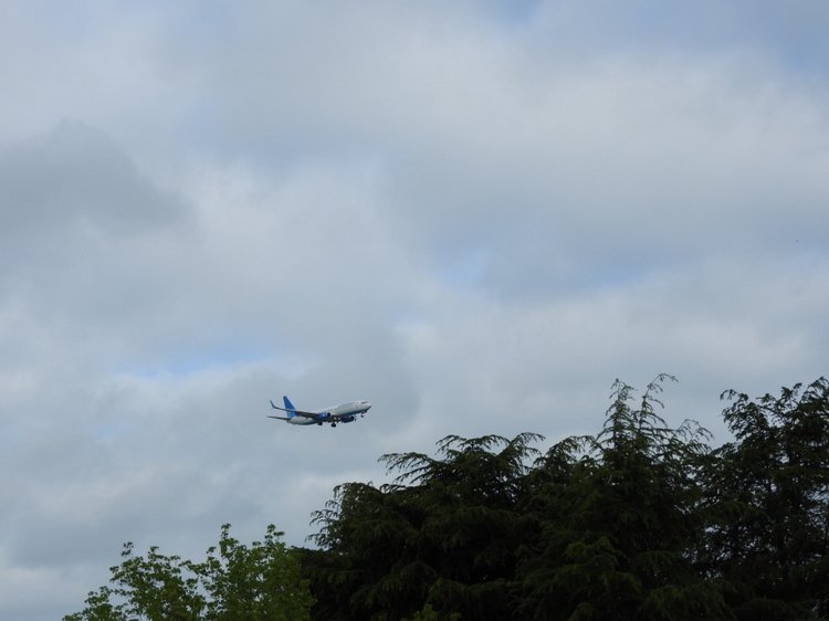 Сочи-Адлер: Южное Взморье - наблюдения за самолетами (фото 10)