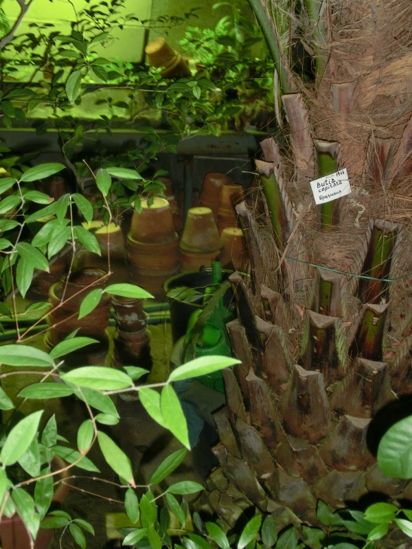 Как малявочки на Ночь Музеев ходили