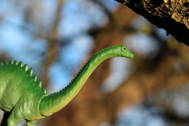 Вы коллекционируете динозавров (фото 6)