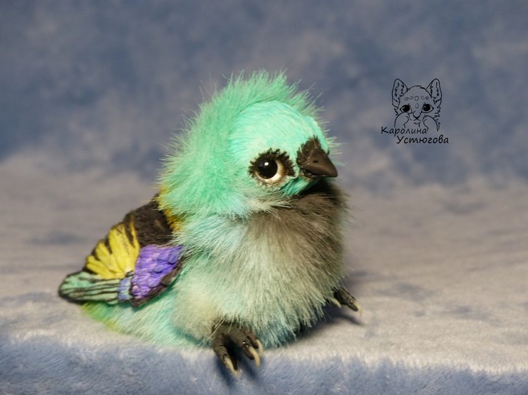 Зеленоголовая танагра, чудо птичка