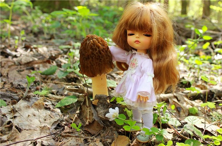 Путешествие Софи в Старицу, заключительная часть. Lati HoneyBee New Mystic Sophie