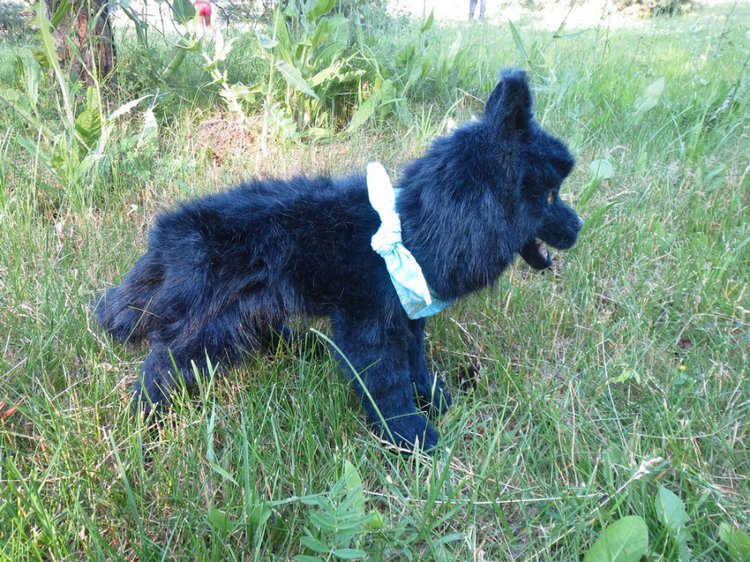 Мой домашний волчок — Домашние фото авторских игрушек: Тедди (фото 6)