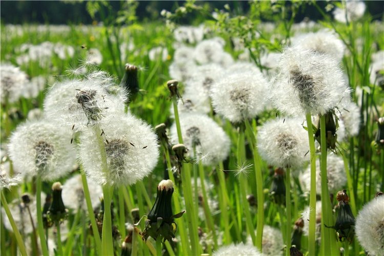 Из Чукавино в Старицу — Культура (фото 4)