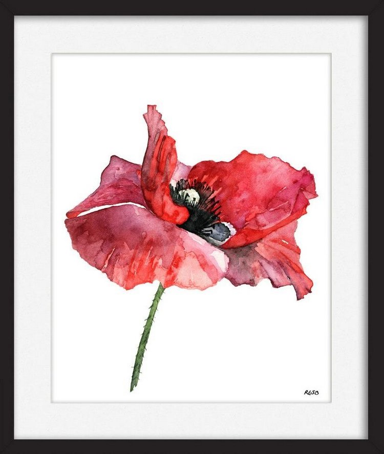 TheColorfulCatStudio - Иллюстрированная флора by Rachel Byler