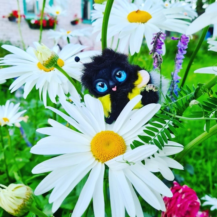 Шмелечек в новом доме. Яркие фотографии из жизни Шмеля (фото 5)