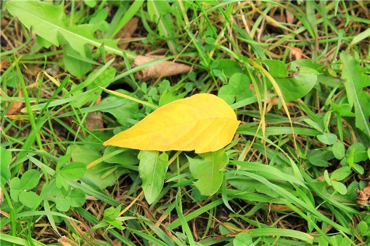 Сентябрьское путешествие в Старицу, заключительная часть