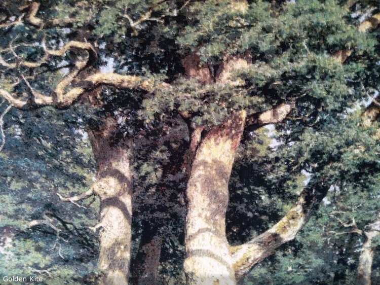 Не пойду в Кащенко!!! Часть вторая. Доктор сказал: "В морг..." (фото 9)