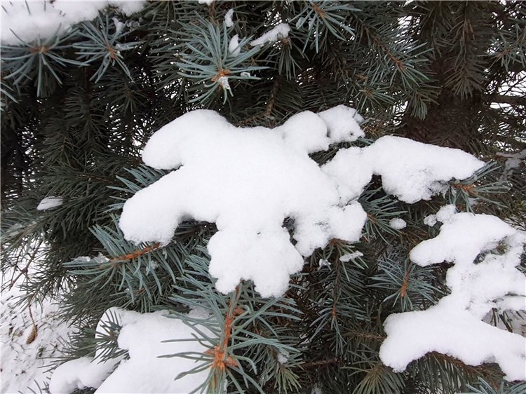 Город, в котором я живу — Туризм и путешествия: фотоотчеты из поездок (фото 8)