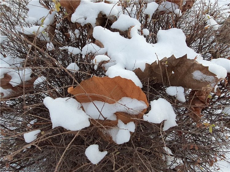 Декабрьская Тверь — Туризм и путешествия: фотоотчеты из поездок