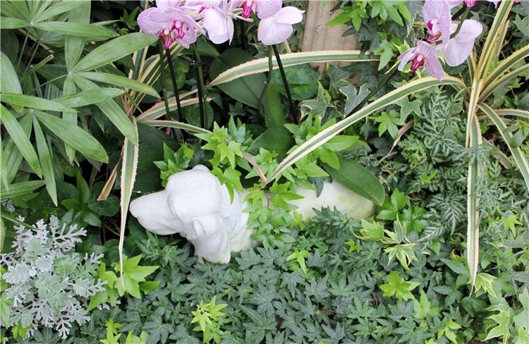 Тверской Ботанический Сад, продолжение | Бэйбики Тверской Ботанический Сад, продолжение